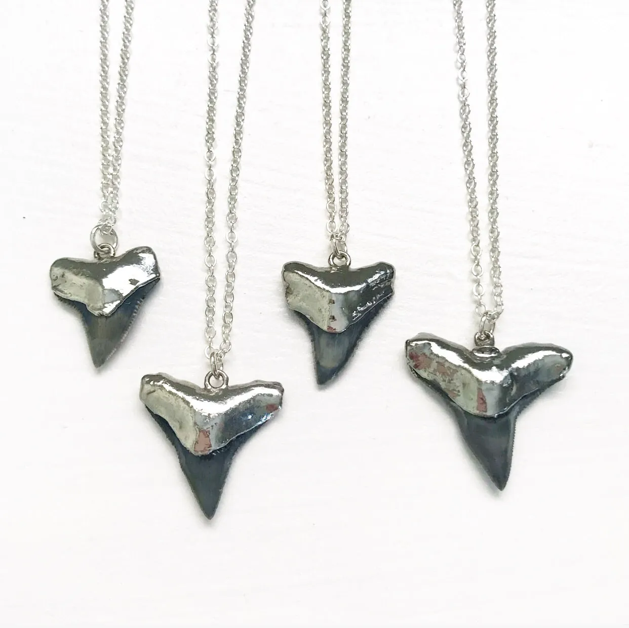 1748-Shark Tooth Necklace