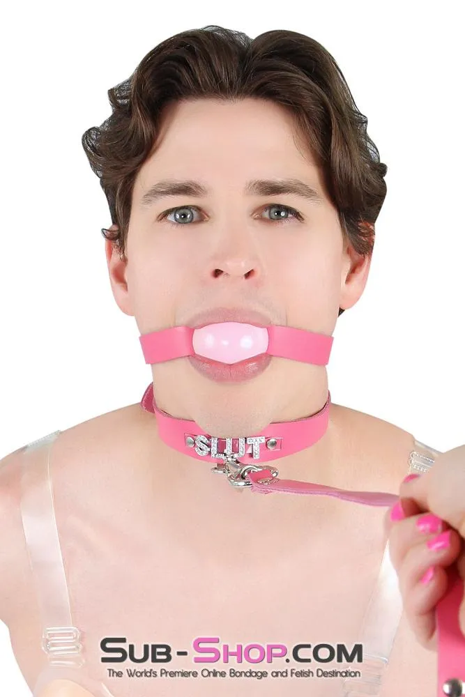 6847A-SIS      Hot Pretty Pink BDSM Roleplay Sissy SLUT Rhinestone Leather Collar