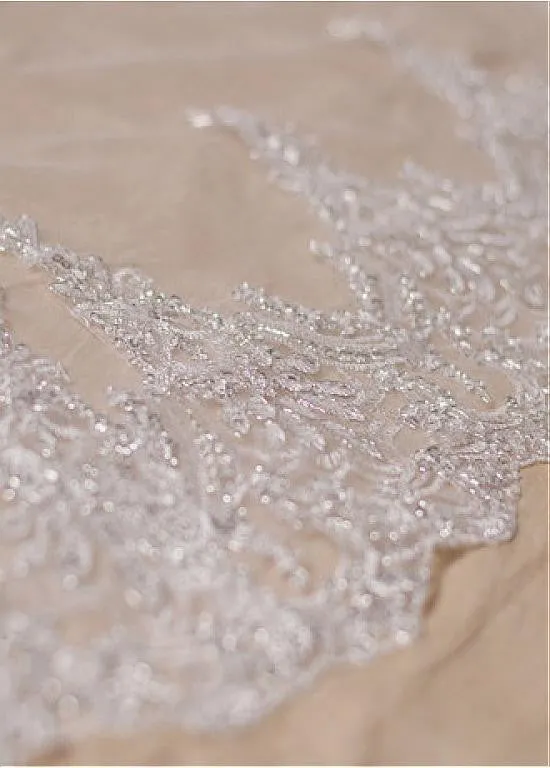 Chic Tulle Wedding Veil With Sequins Lace