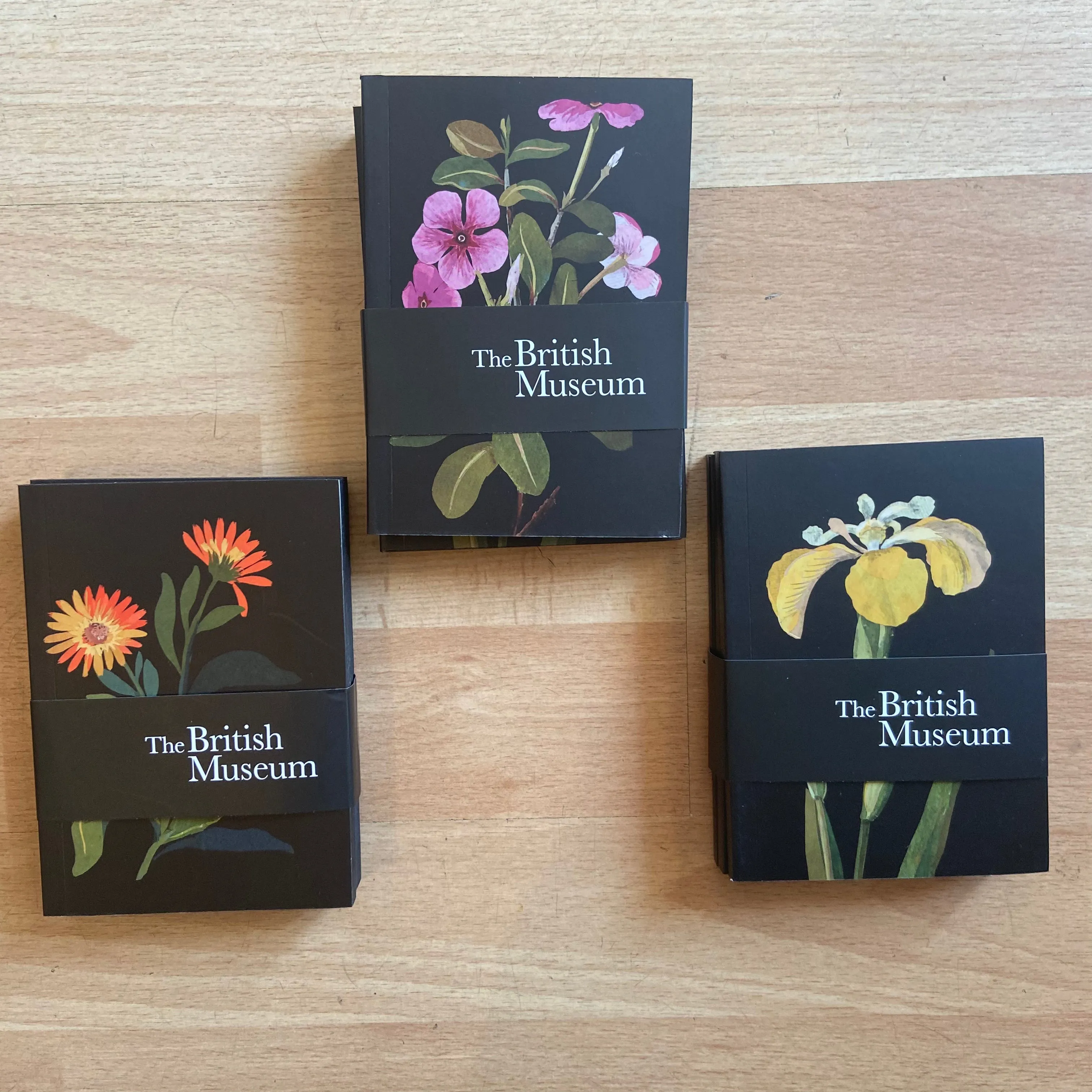 Deluxe Mini Notebook Set - Delany Florals