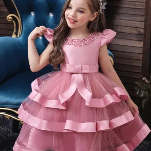 Elegant Mesh Princess Dress for Girls