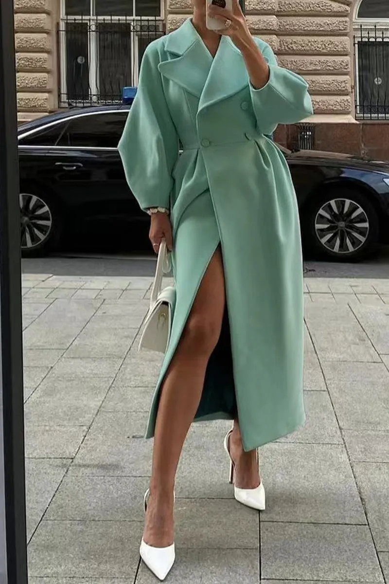 Elegant Solid Solid Color Turndown Collar Outerwear