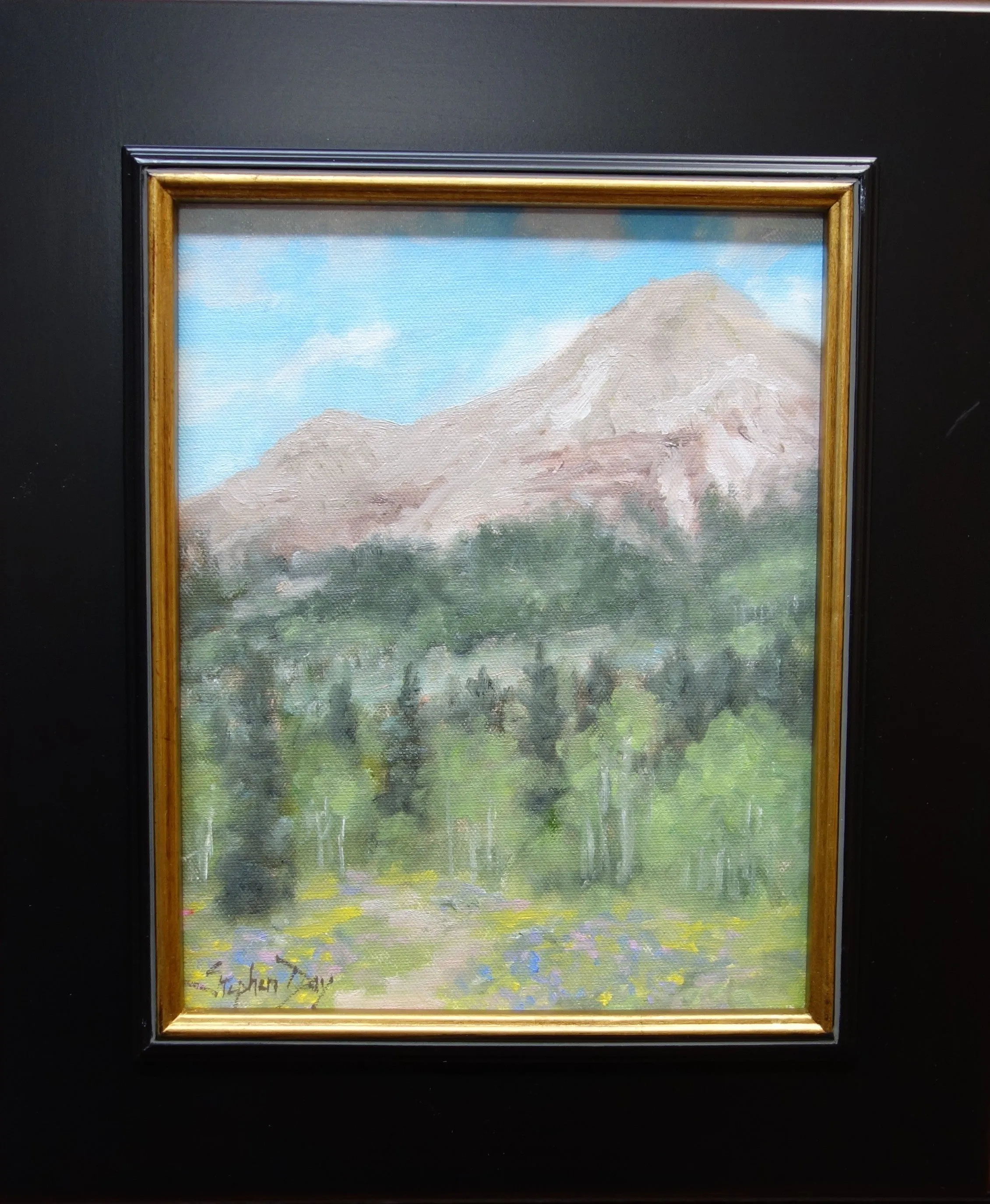 Engineer Mountain - Summer