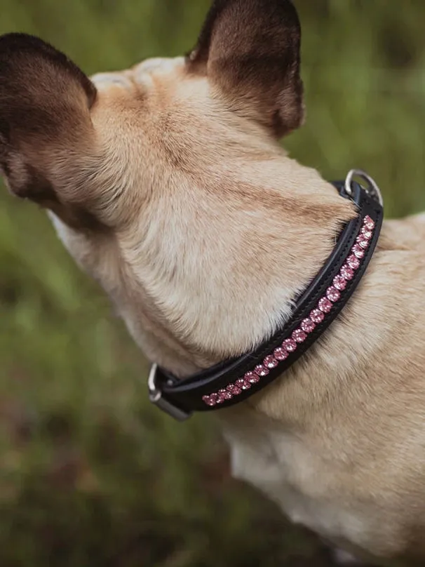 Equestrian Stockholm Dog Collar All in Pink