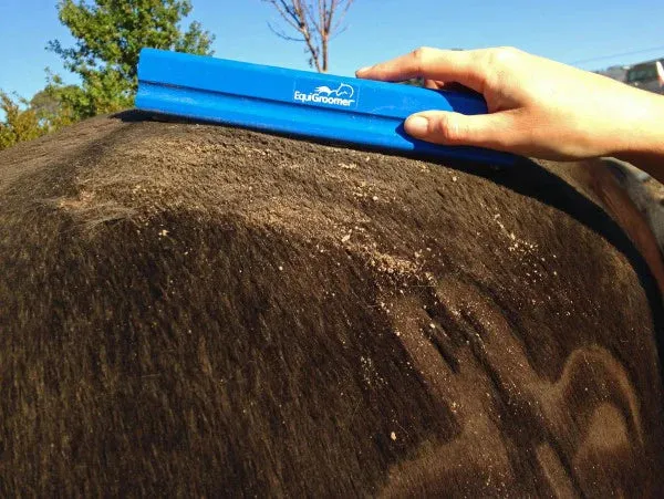 Equigroomers Small