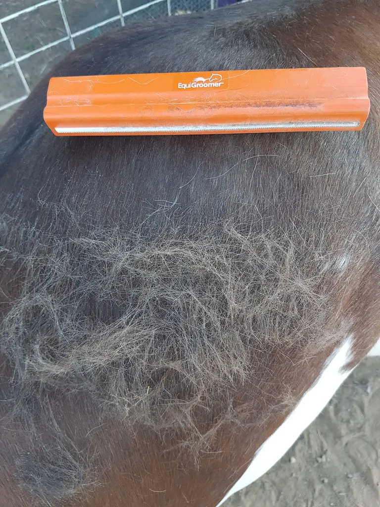 Equigroomers Small