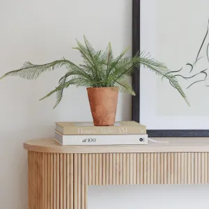 Faux Elegant Fern in Terracotta Pot