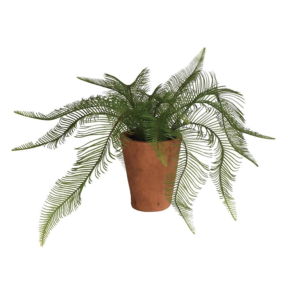 Faux Elegant Fern in Terracotta Pot