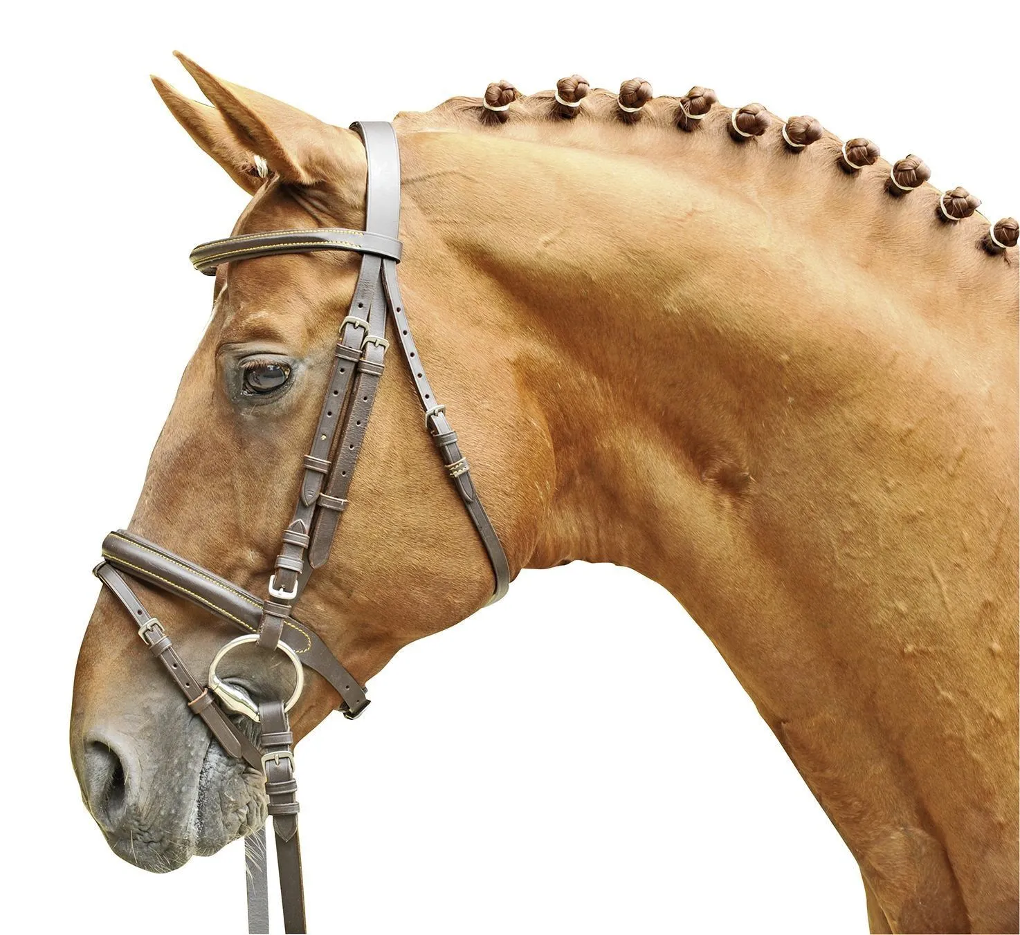 HKM Bridle Lou