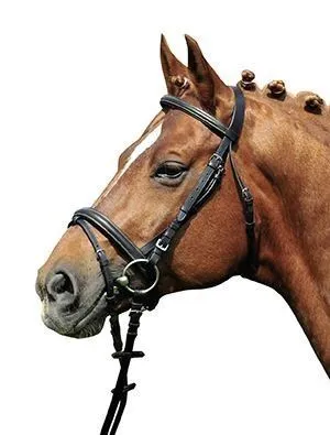 HKM Bridle Lou