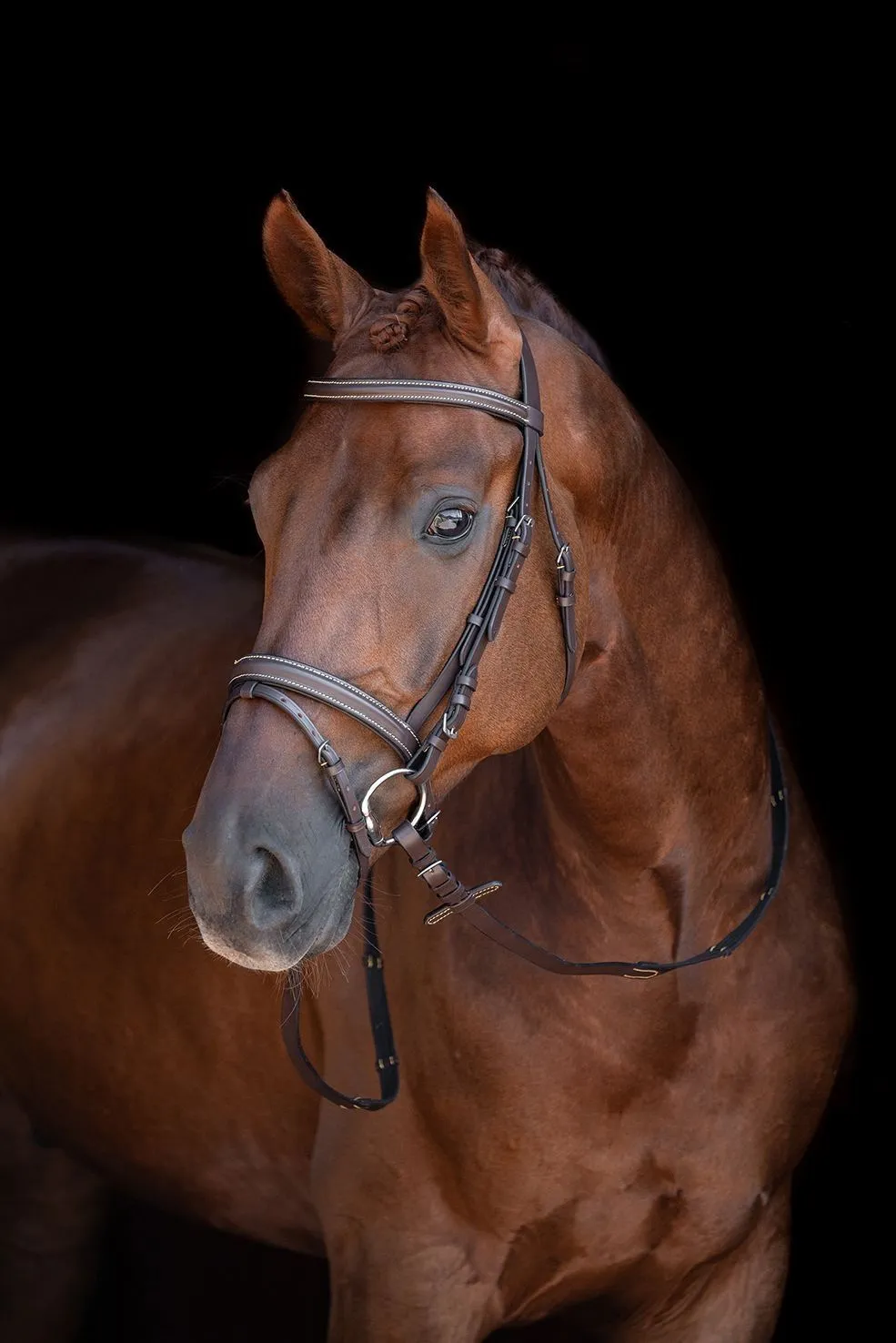 HKM Bridle Lou
