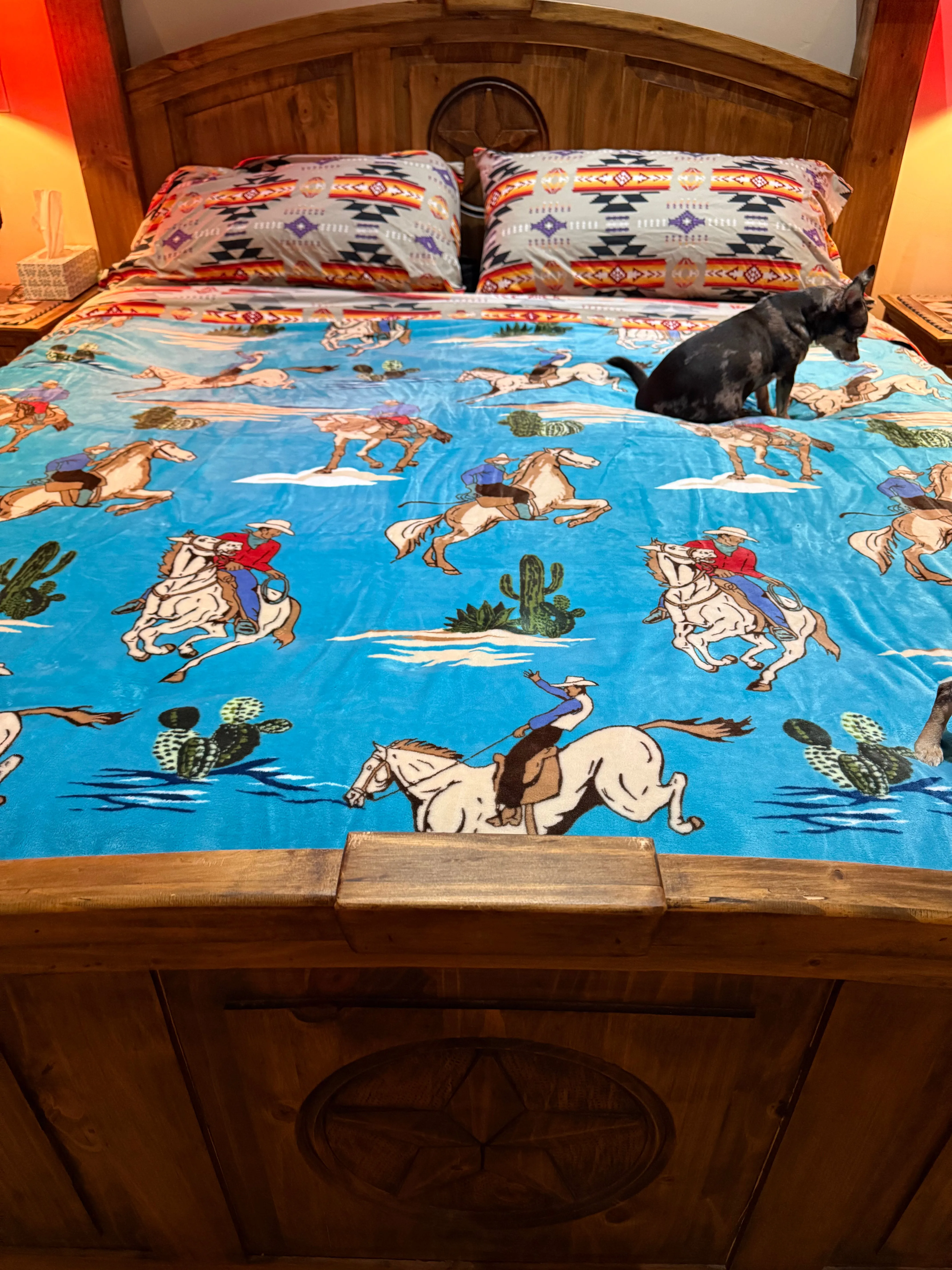 HUGE King Southwest LUXURY flannel BLANKET