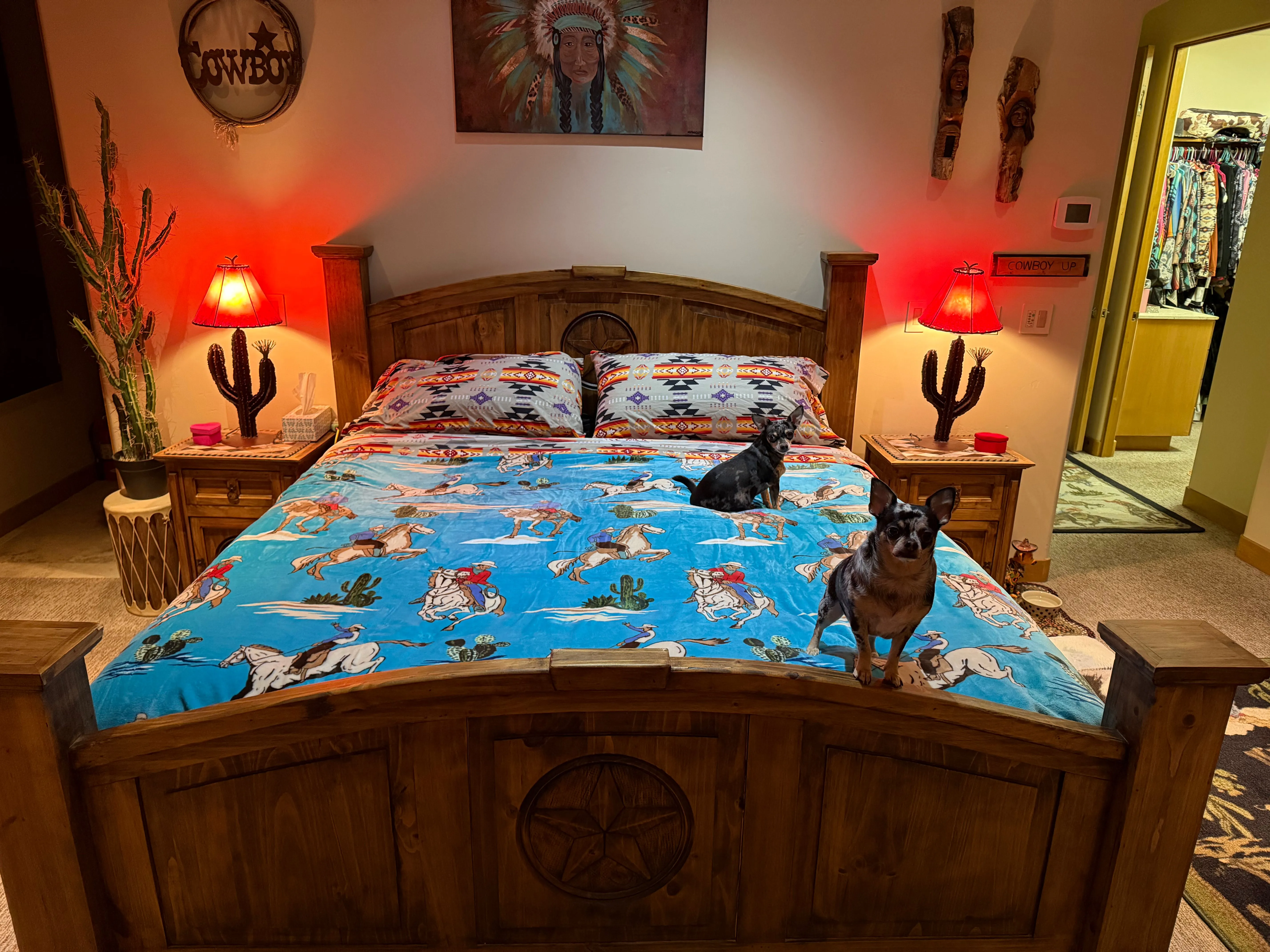 HUGE King Southwest LUXURY flannel BLANKET