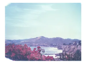 Laguna Beach