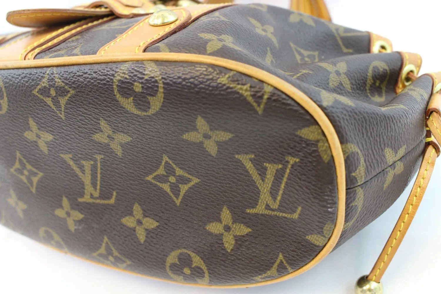 LOUIS VUITTON Monogram Canvas Theda GM Bag