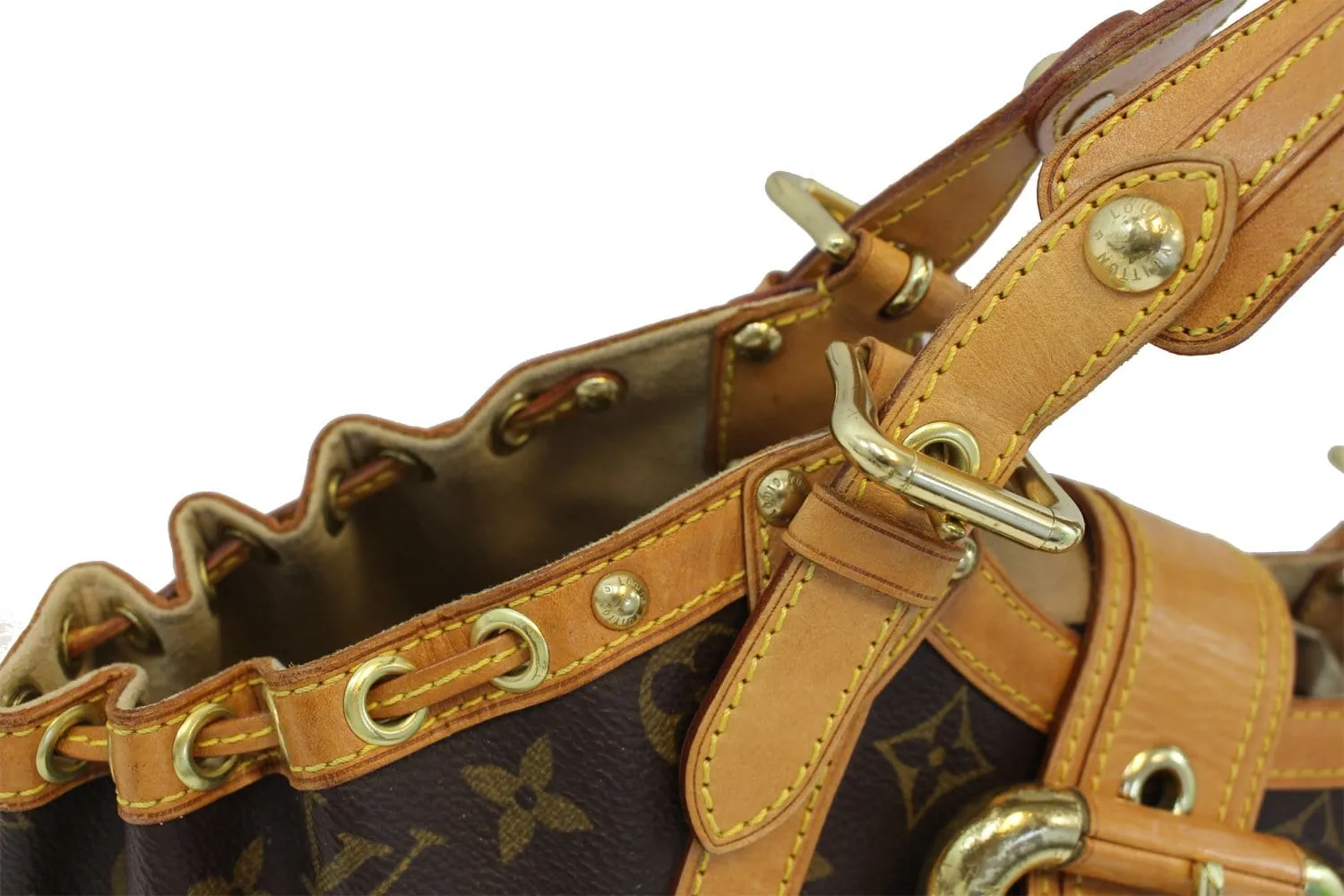 LOUIS VUITTON Monogram Canvas Theda GM Bag