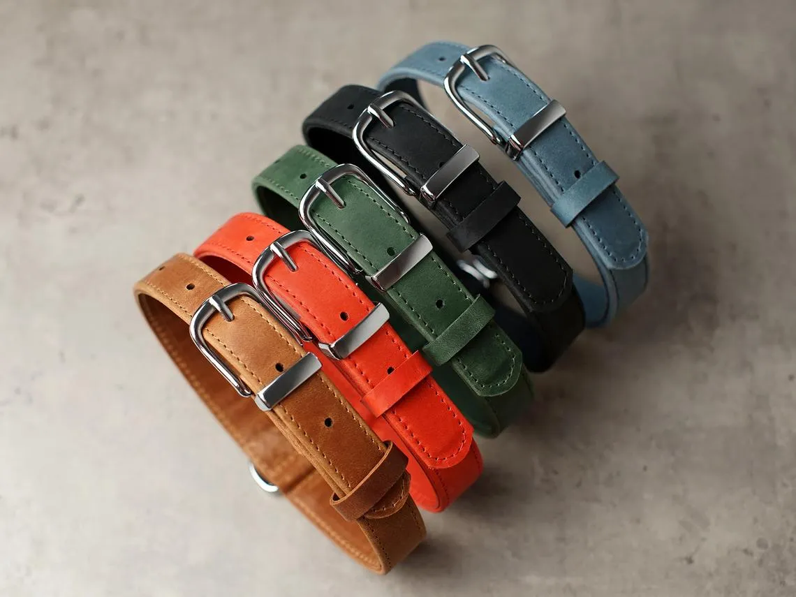 Personalized Leather Dog Collar