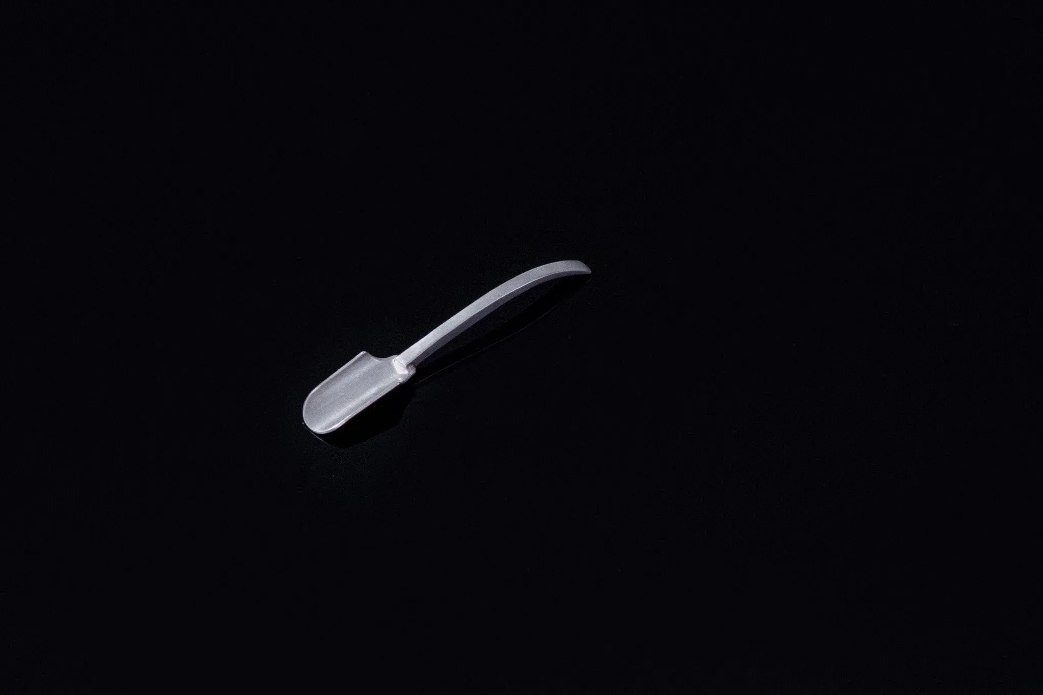 Salt Spoon