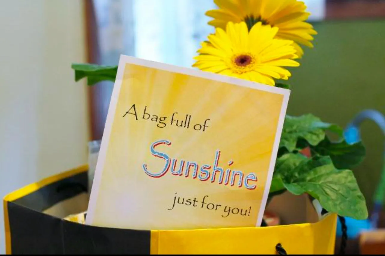 Spring Surprise Package
