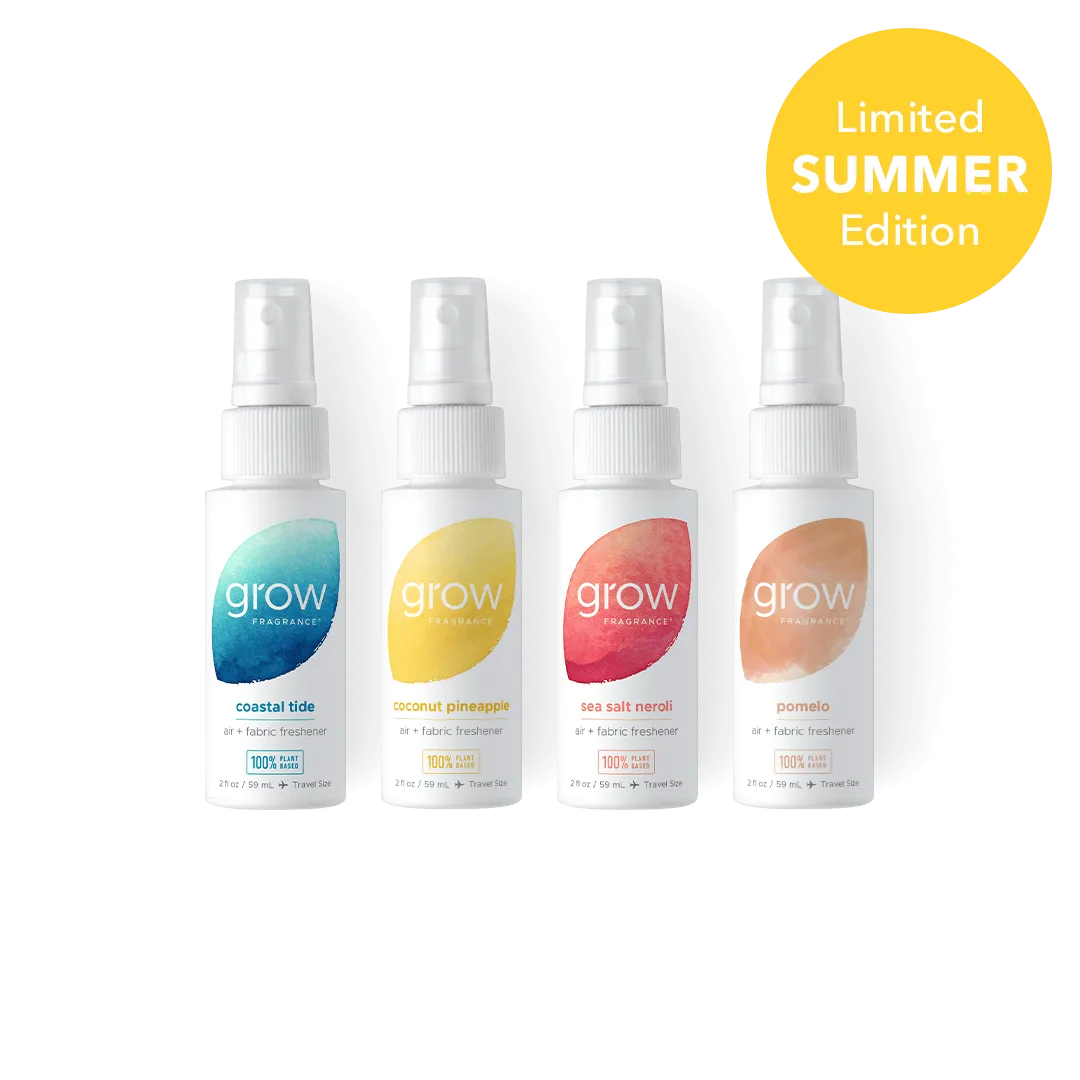 Summer Discovery Set