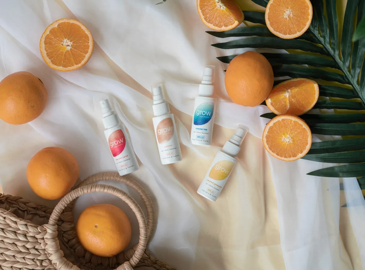 Summer Discovery Set