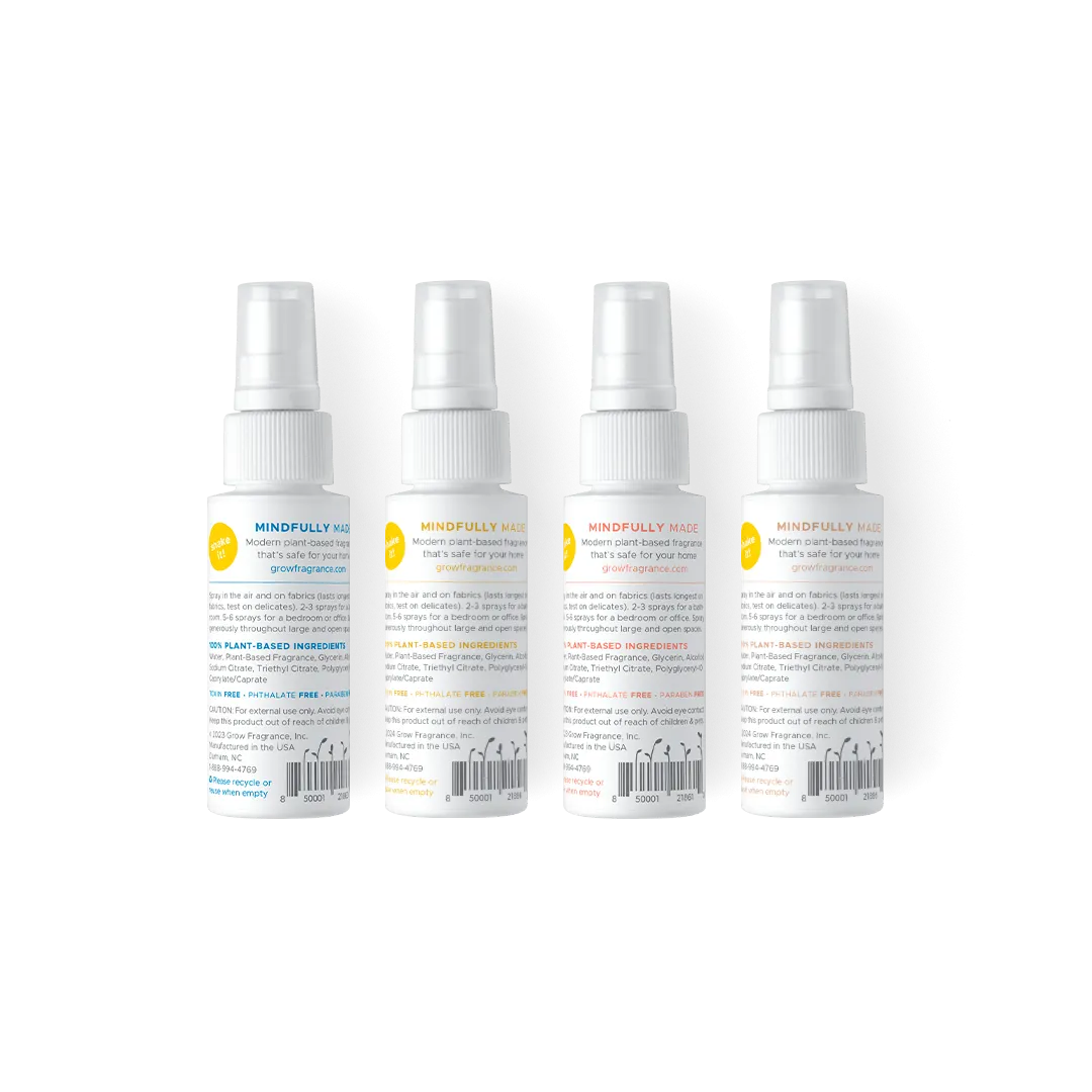 Summer Discovery Set