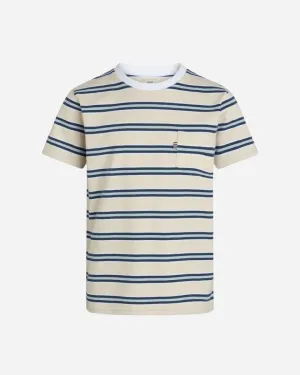 Summer Stripe Troline Tee - Summer Sand Stripe