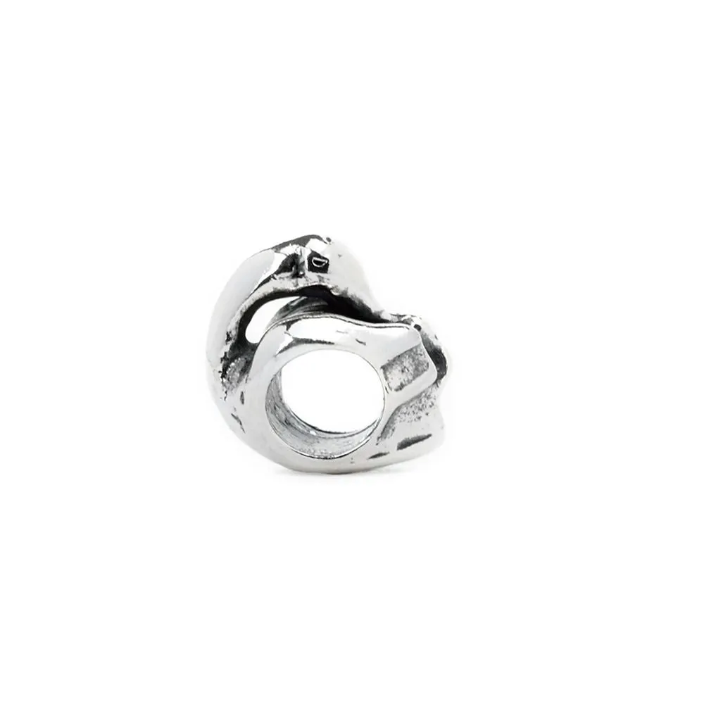 Swan, Silver
