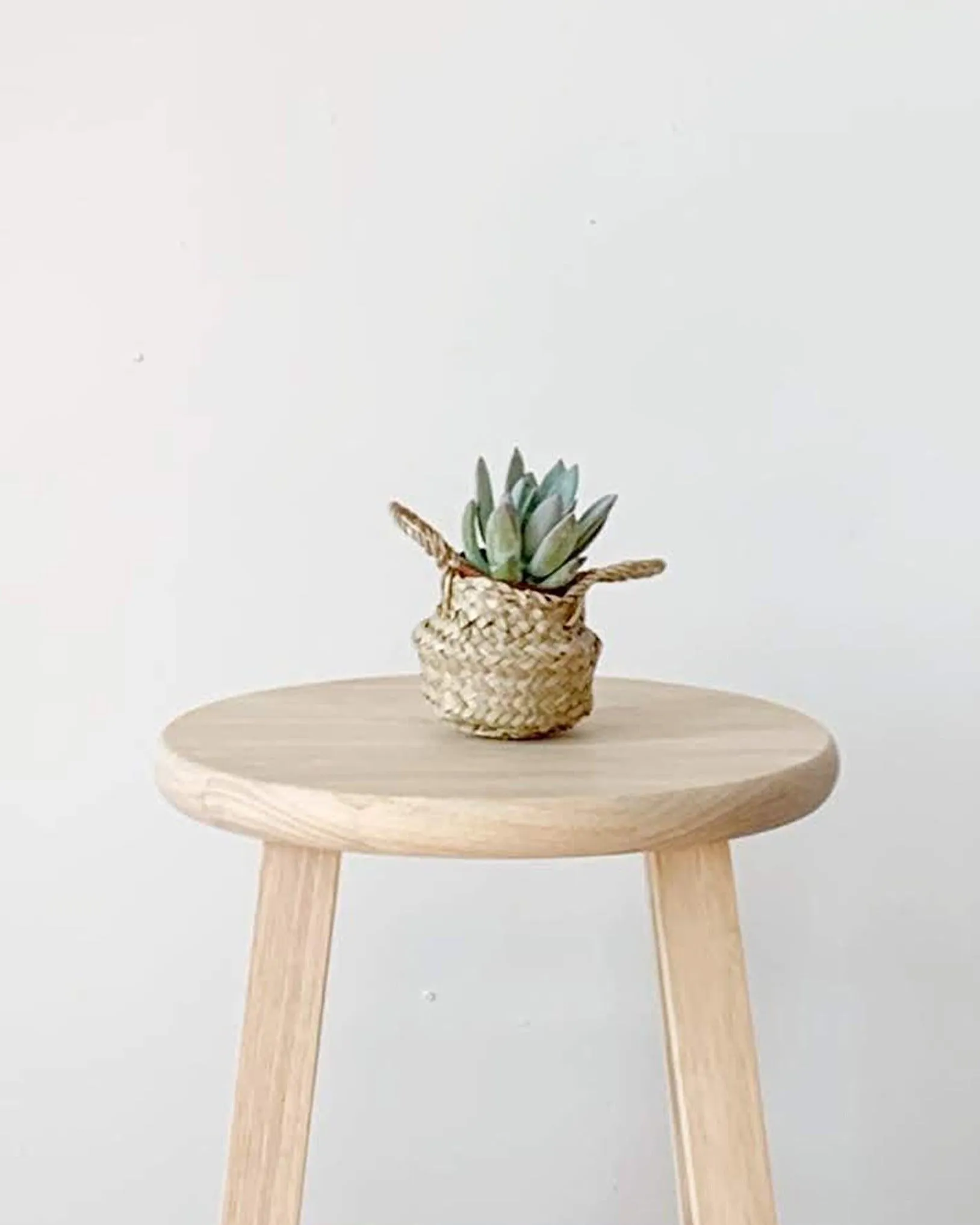 tabletop belly basket xs