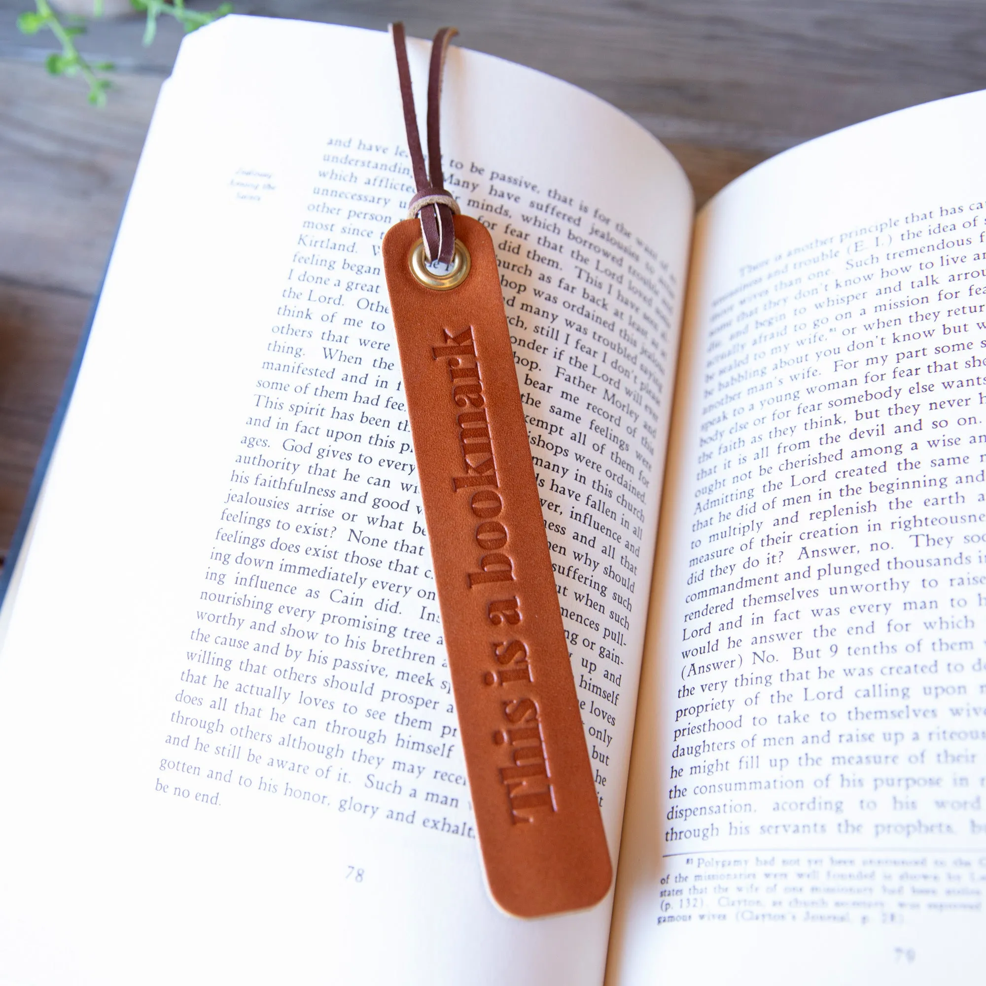 This is a Bookmark