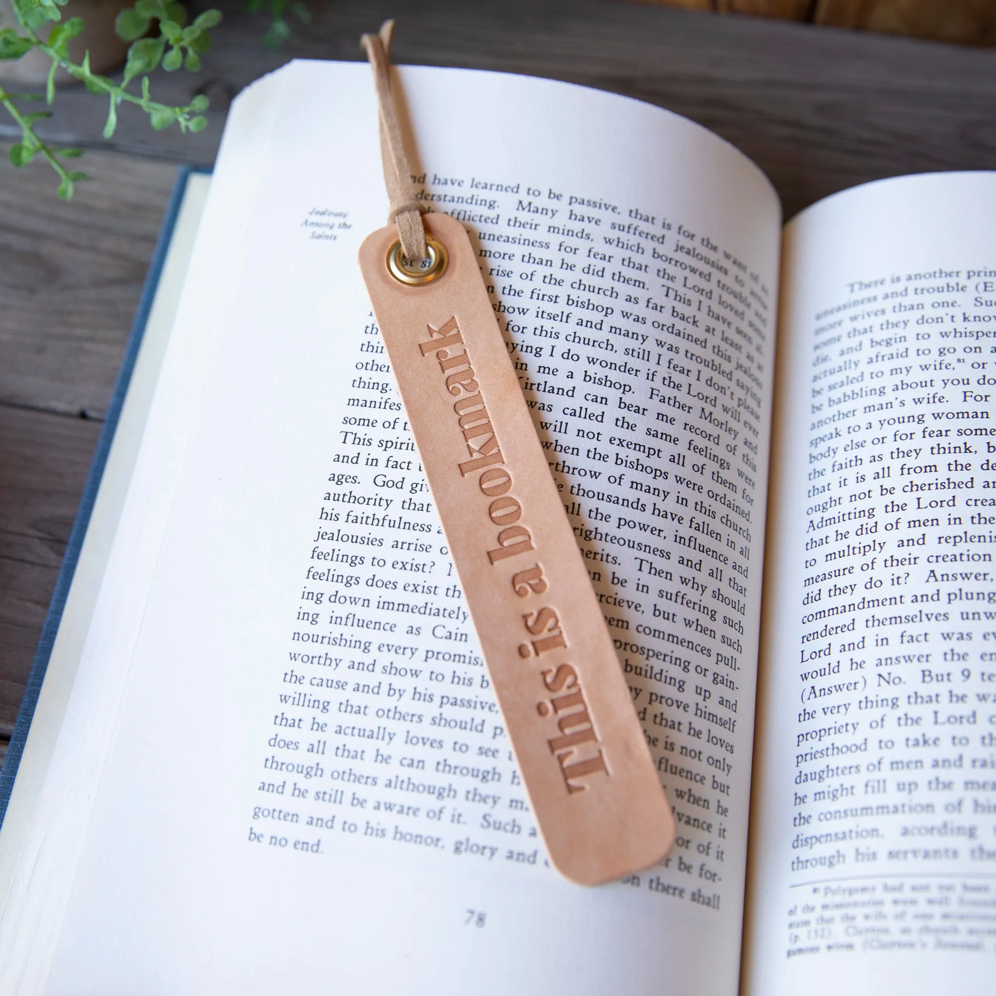 This is a Bookmark