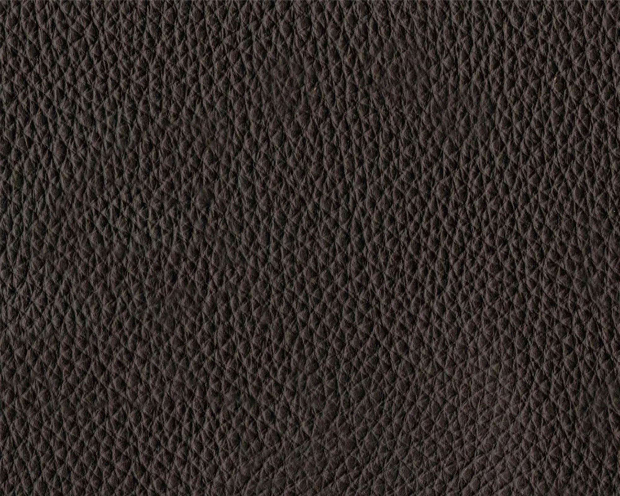Thor Leather - 377