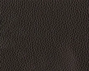 Thor Leather - 377