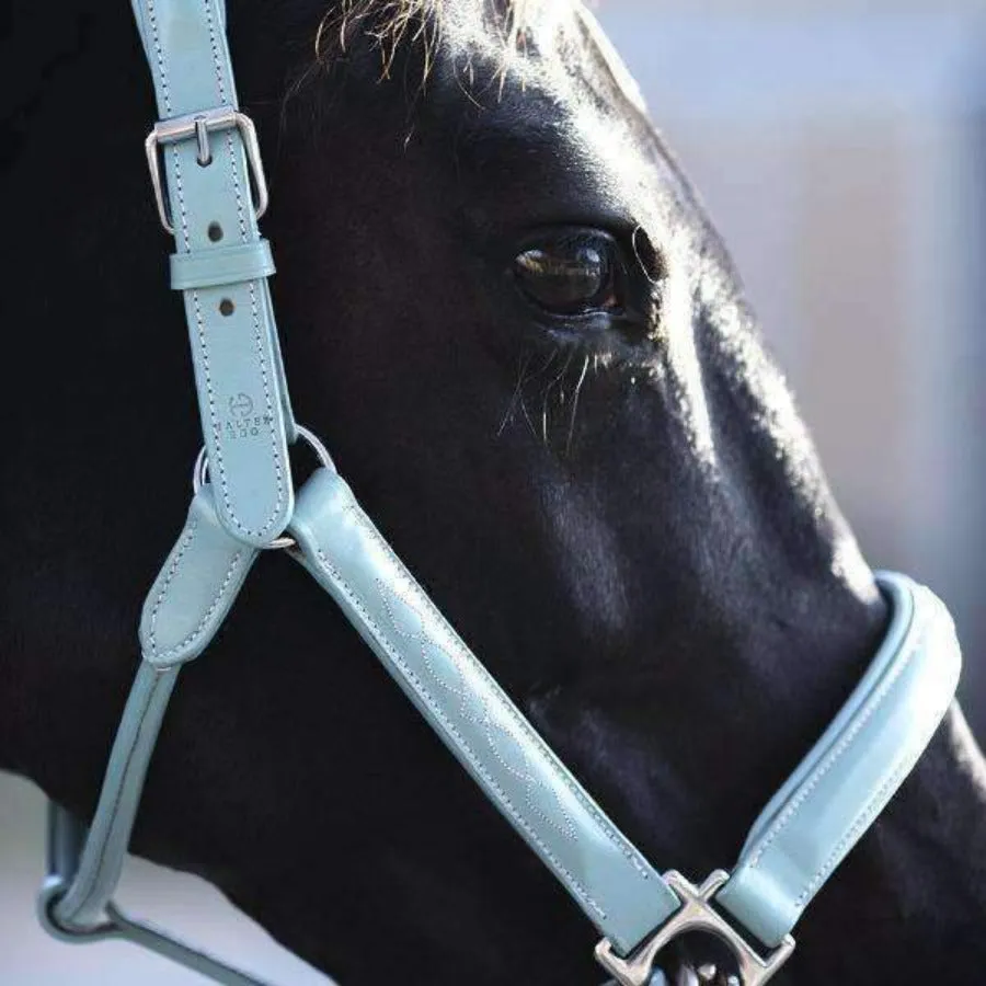 Tiffany Blue Leather Halter with Top Stitching