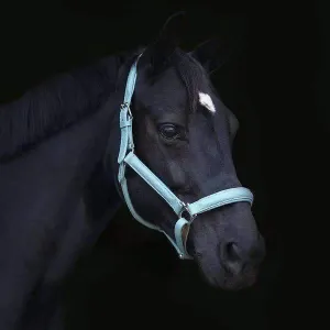 Tiffany Blue Leather Halter with Top Stitching