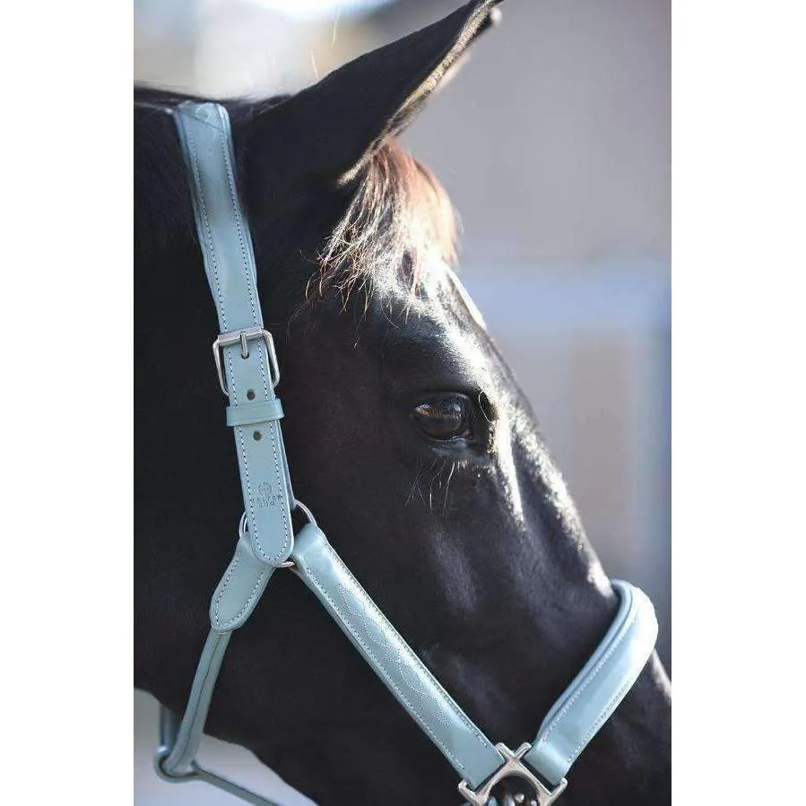 Tiffany Blue Leather Halter with Top Stitching