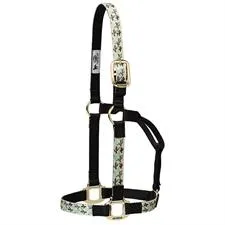 TK35-6781-Average-98 Cact Halter Basic Non Adjustable 1" Nylon