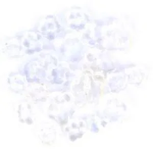Trimits Mini Craft Transparent Flower Buttons - White Shades