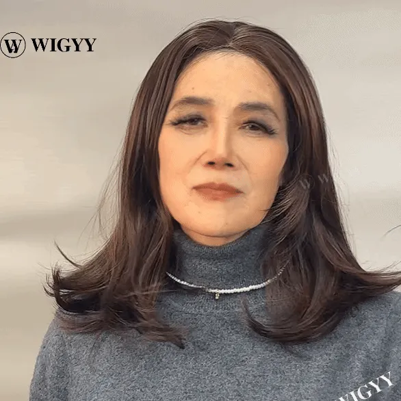 Wigyy Straight Highlighted Daily Use Elegant Wig