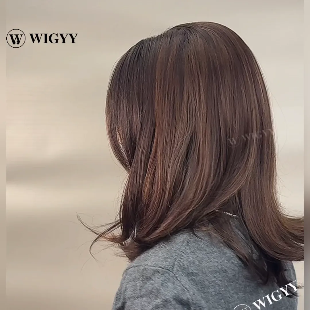 Wigyy Straight Highlighted Daily Use Elegant Wig