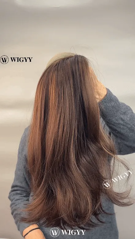 Wigyy Straight Highlighted Daily Use Elegant Wig